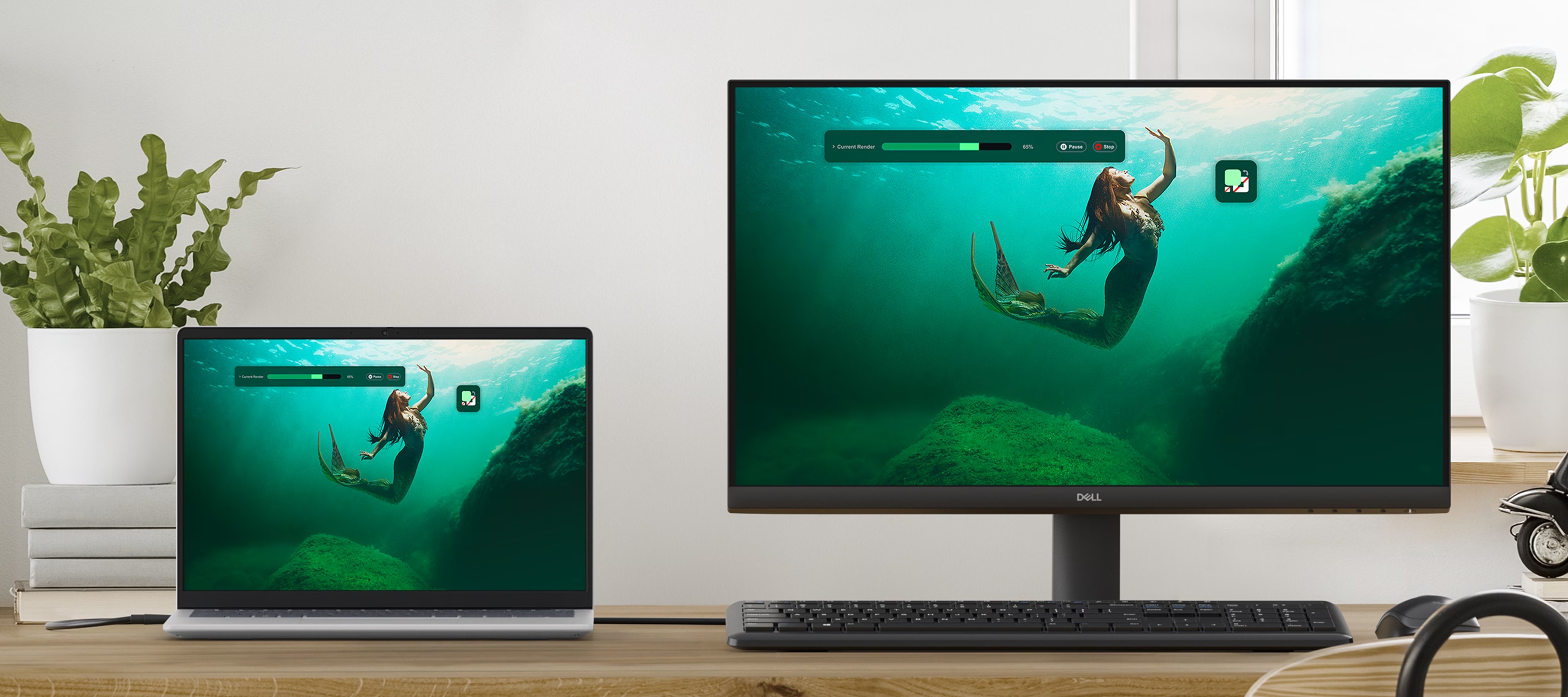 Monitor Dell SE2425HM