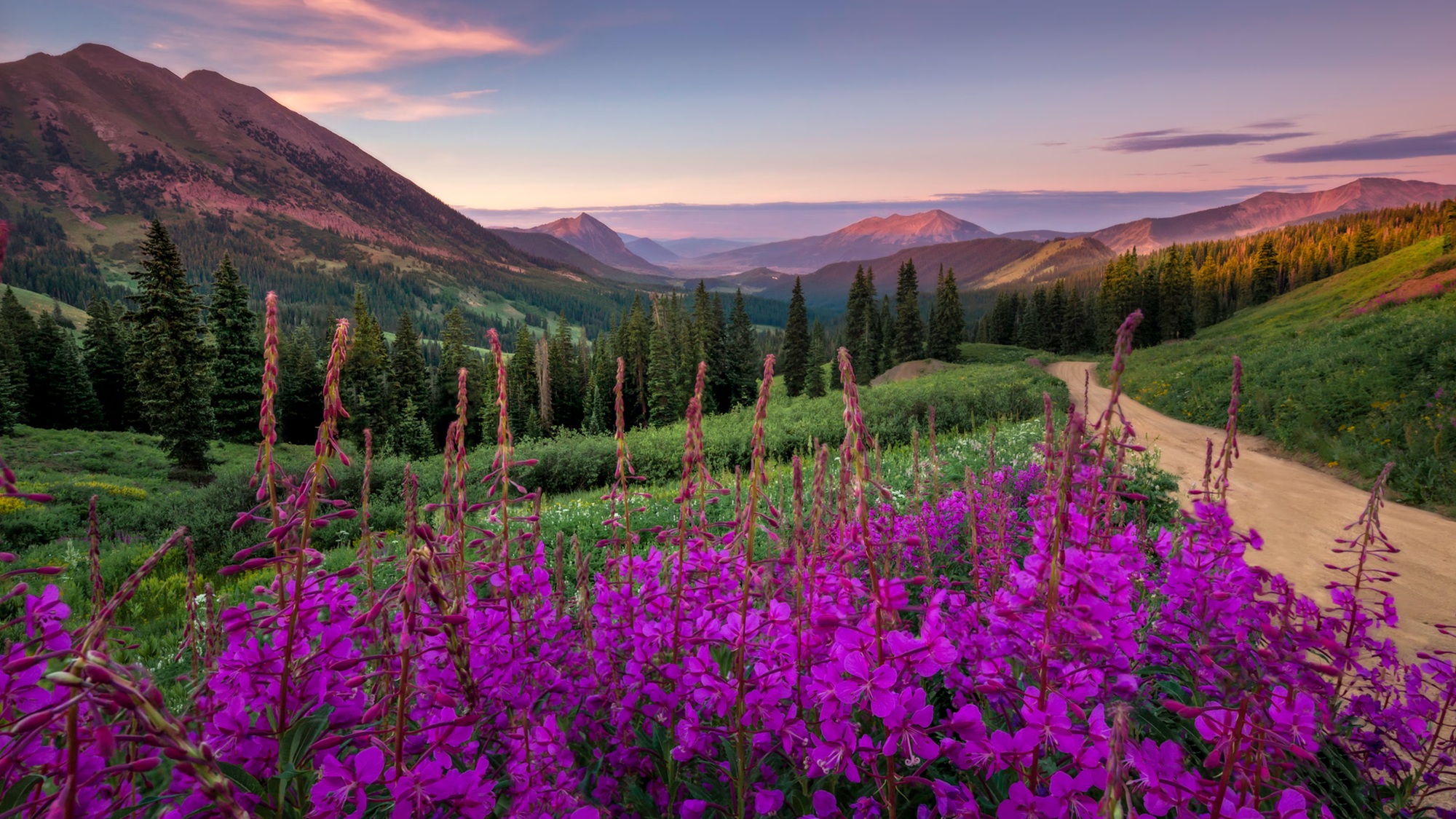 Monitor Dell Pro 27 Plus P2725DE