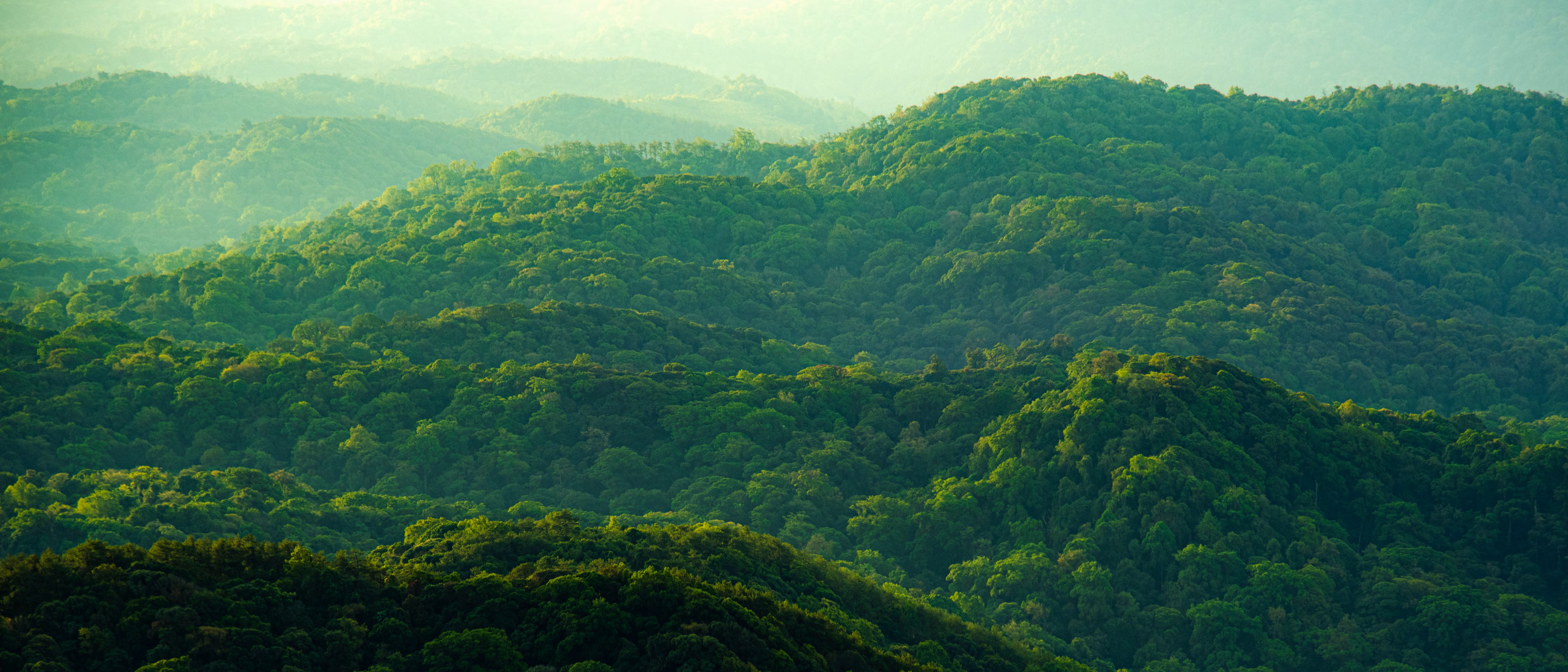 Monitor Dell 27 Plus 4K S2725QS