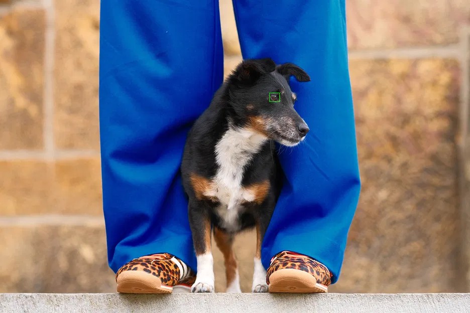 Digitální fotoaparát Fujifilm X-T30 III