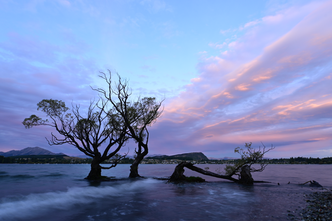 Fotografie mořské hladiny a stromů zachycená pomocí objektivu Nikon Nikkor Z DX 12-28mm