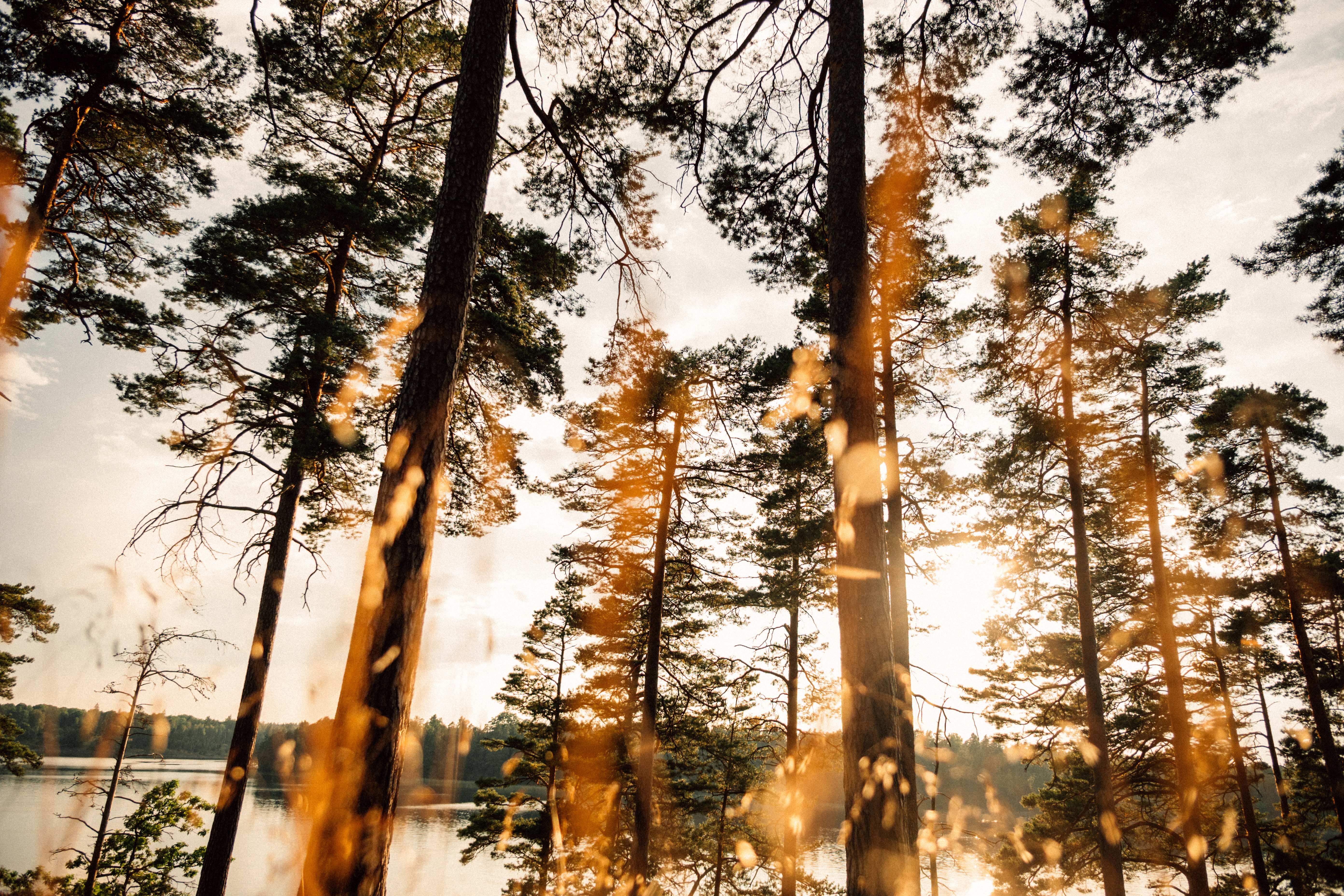 Objektiv Nikon Zoom-Nikkor Z 16-50 mm f/2.8 DX VR