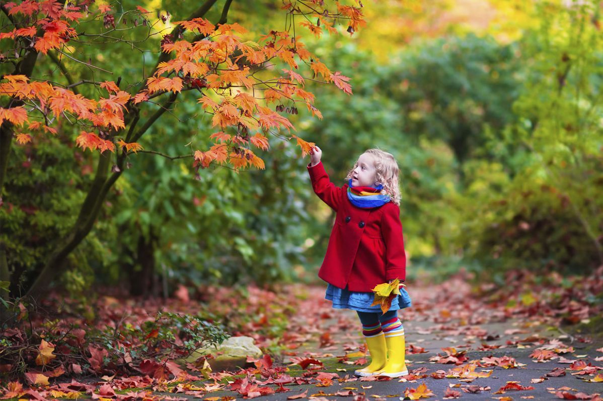 Fotografie blonďaté holčičky sbírající podzimní listí zachycená pomocí fotoaparátu Kodak Friendly Zoom FZ45