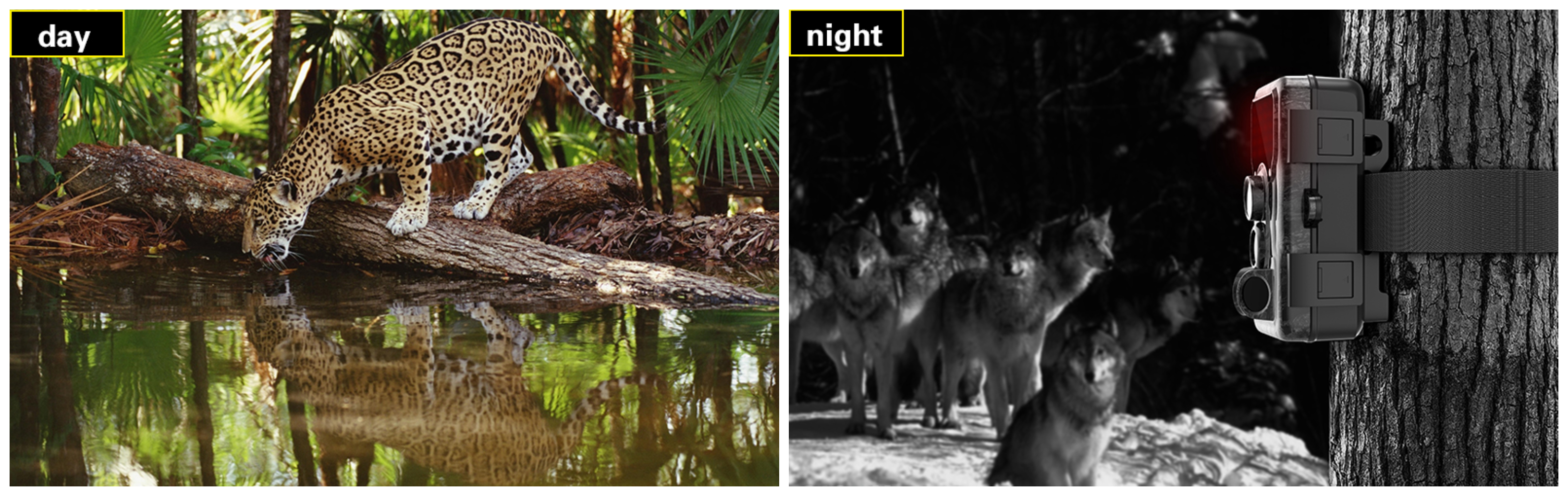 Fotopasca SJCAM M50 obsahuje 38 infračervených diód, ktoré zaistia jasný obraz vo dne v noci.