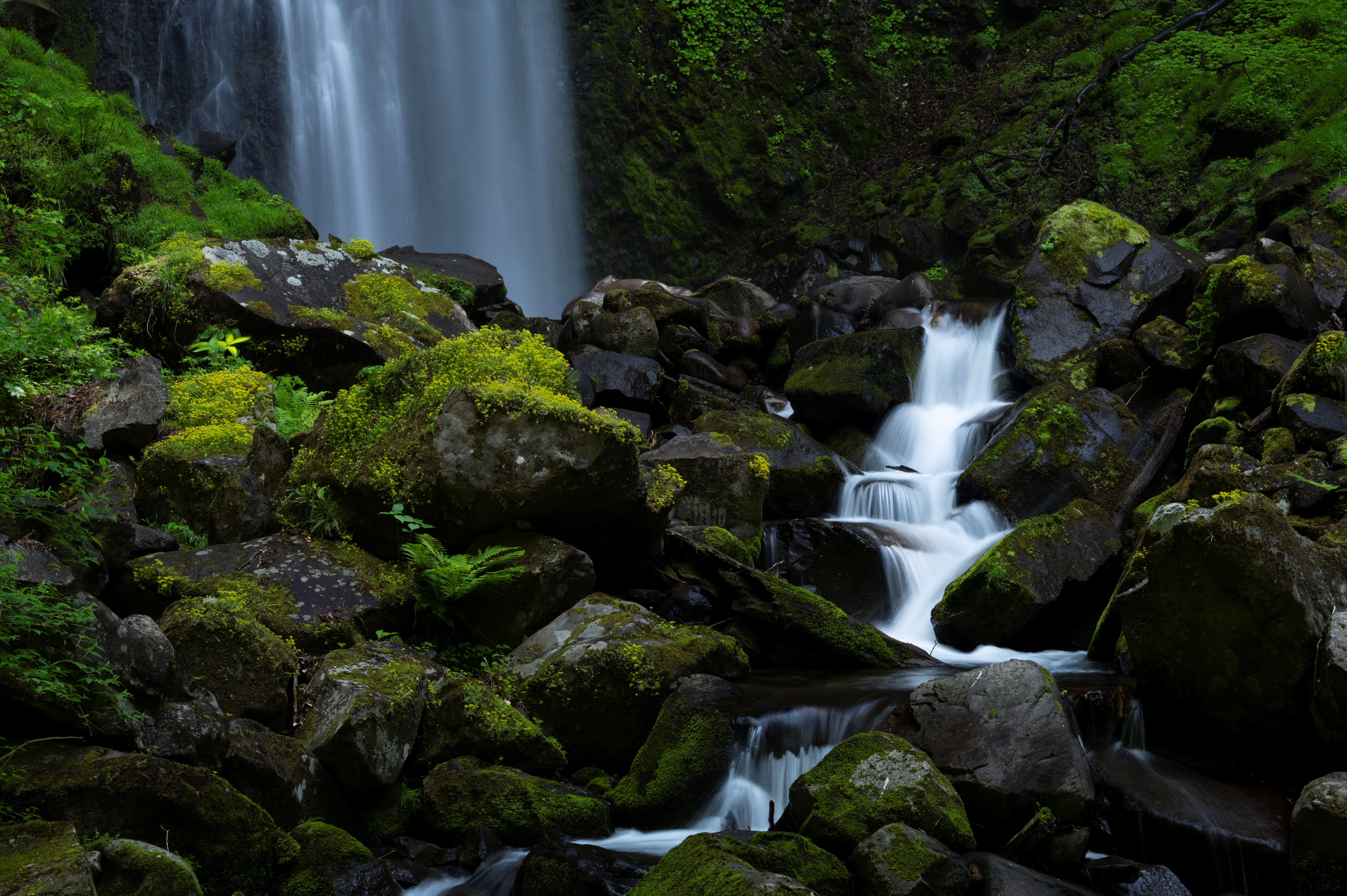Fotografie malého vodopádu v přírodě focená objektivem Tamron