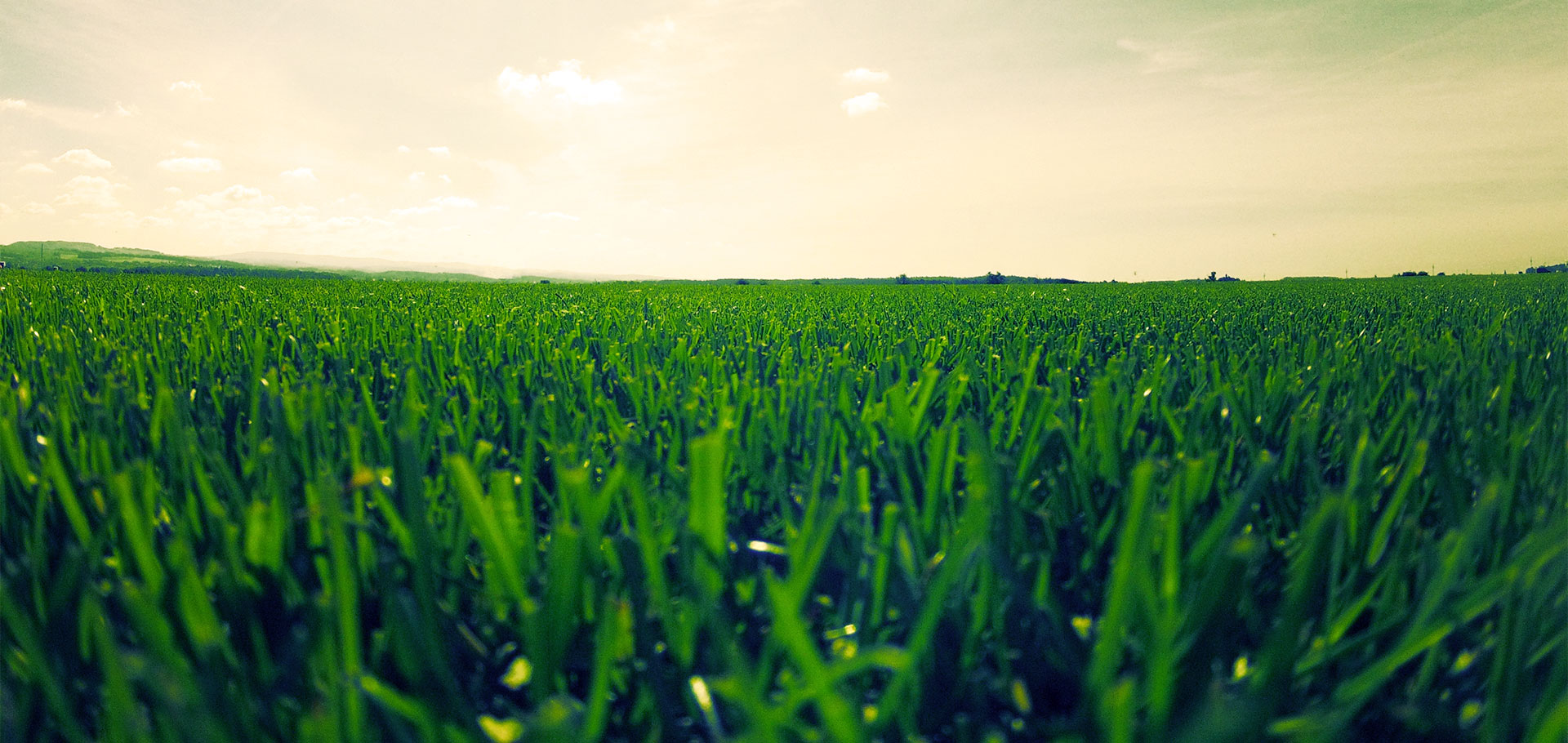 Trávníkové hnojivo Argo KT Travin se již dlouhou dobu řadí mezi nejlepší a nejpoužívanější hnojiva na okrasné trávníky na našem trhu.