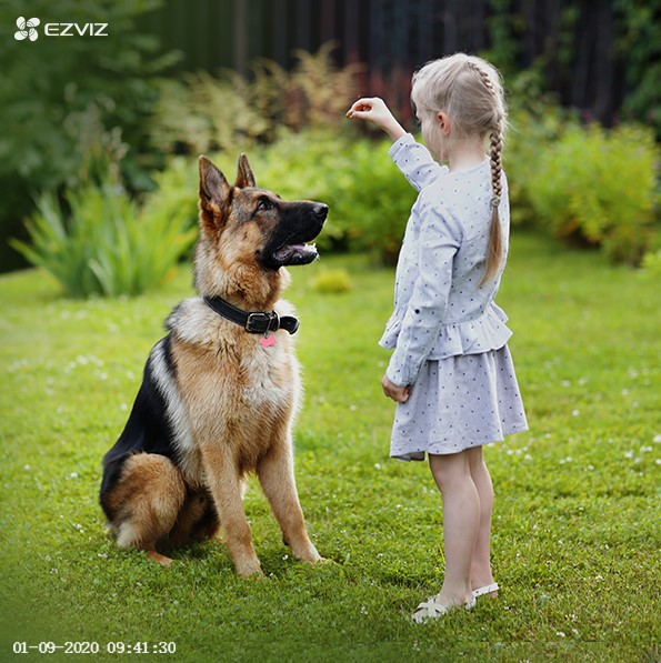 Dievčatko sa hrá so svojim psom na zázname kamery Ezviz BC1-B2